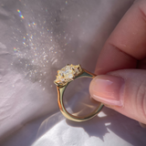 Eve Ring - 1ct Australian-origin natural radiant cut (Argyle)
