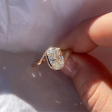 Avery Ring