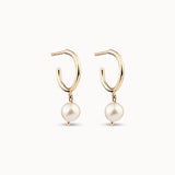 Aeres Hoops - Small
